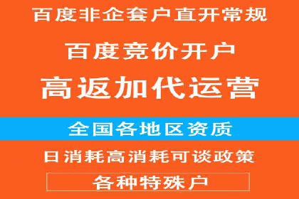 成功案例：sem竞价托管的智慧与策略